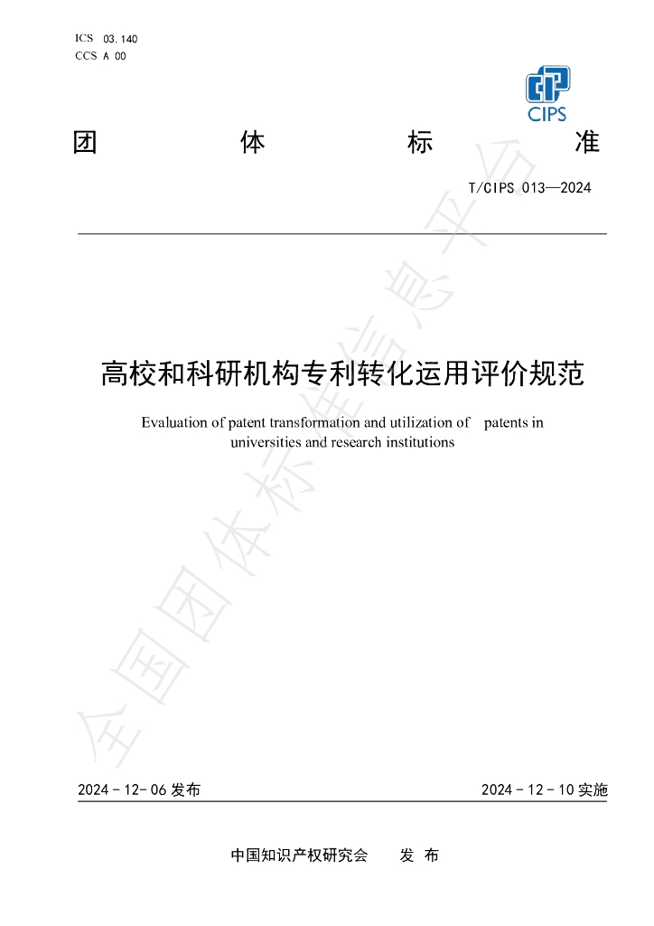 T/CIPS 013-2024 标准预览