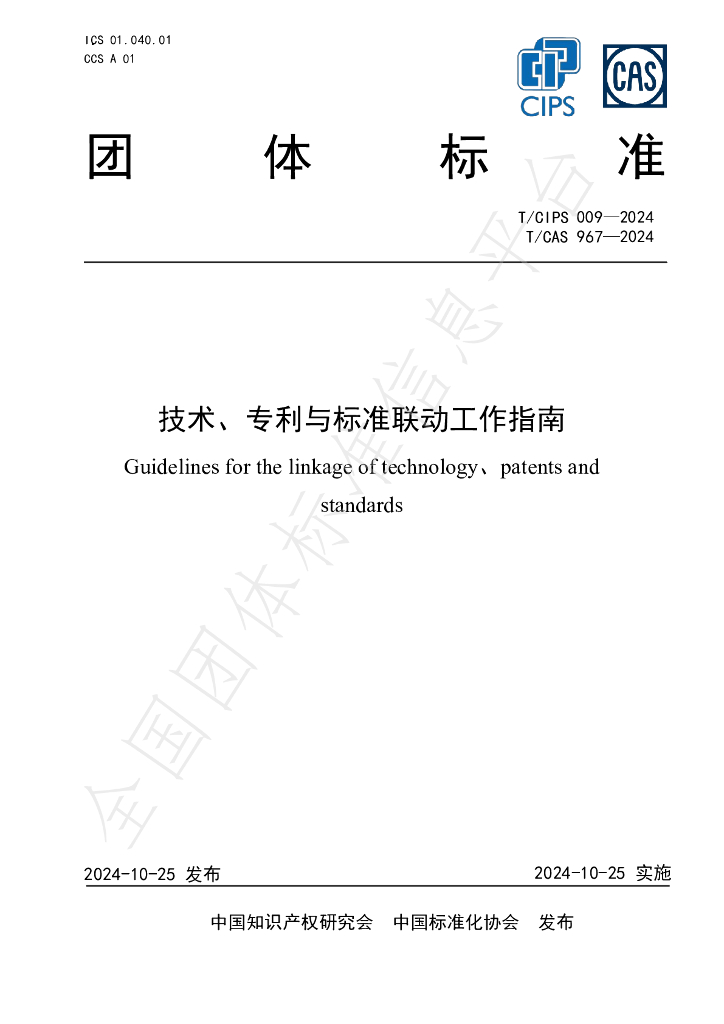 T/CIPS 009-2024 标准预览