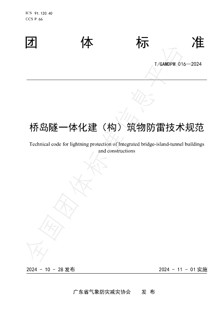 T/GAMDPM 016-2024 标准预览