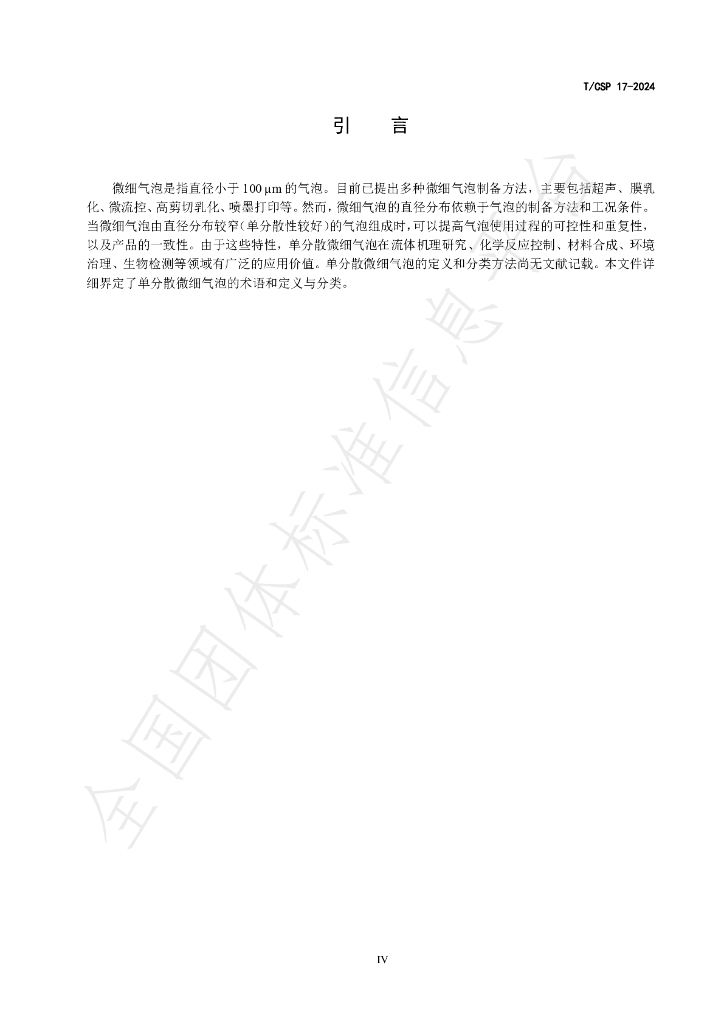 T/CSP 17-2024 标准预览