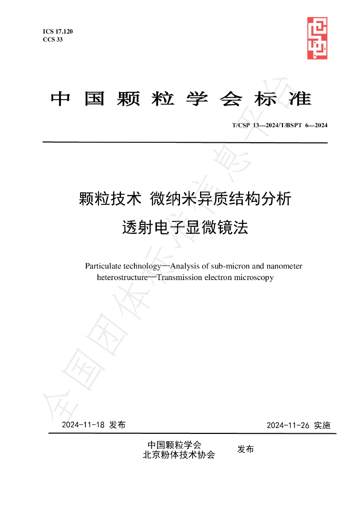 T/CSP 13-2024 标准预览