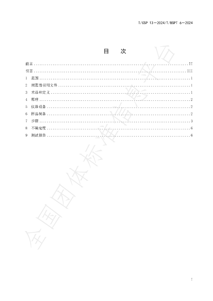 T/CSP 13-2024 标准预览
