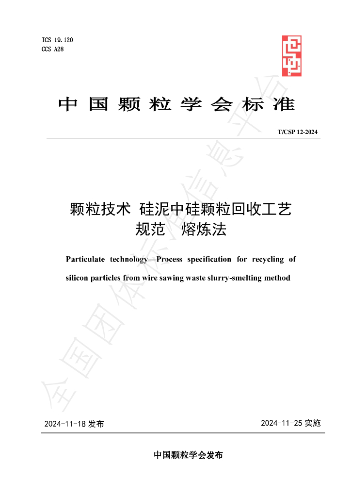 T/CSP 12-2024 标准预览