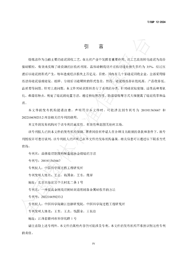 T/CSP 12-2024 标准预览