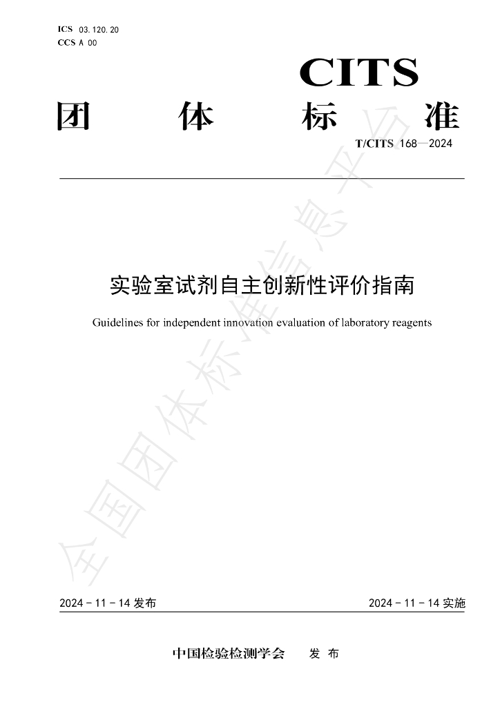 T/CITS 168-2024 标准预览