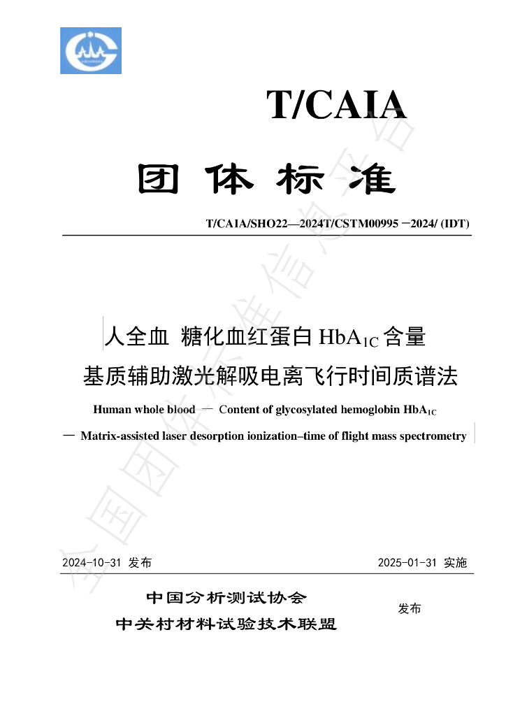 T/CAIA SHO22-2024 标准预览