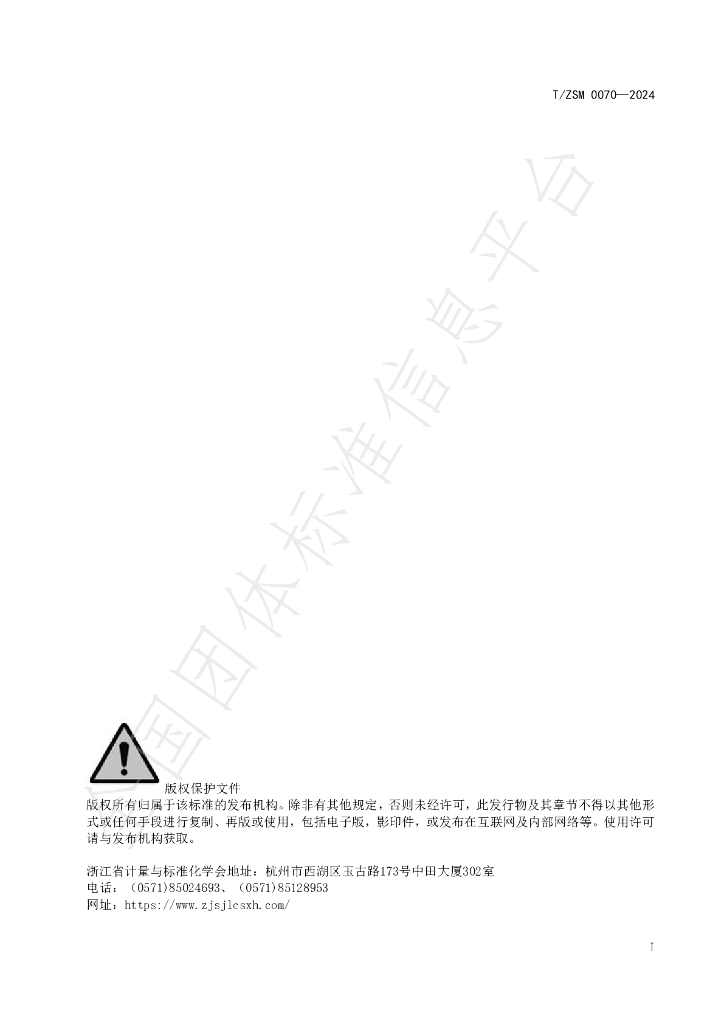 T/ZSM 0070-2024 标准预览