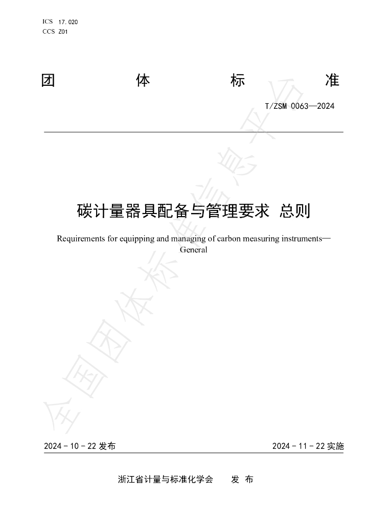 T/ZSM 0063-2024 标准预览