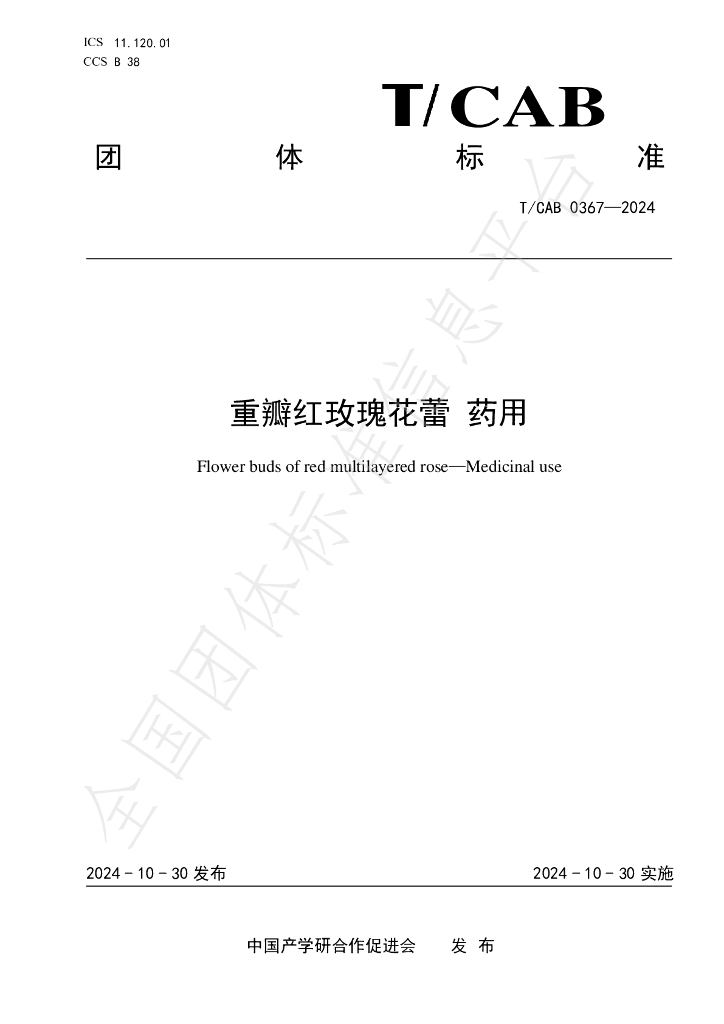 T/CAB 0367-2024 标准预览