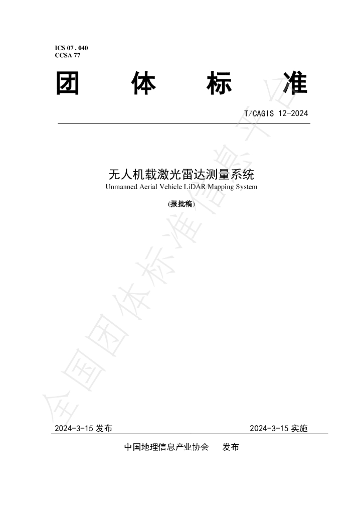 T/CAGIS 12-2024 标准预览