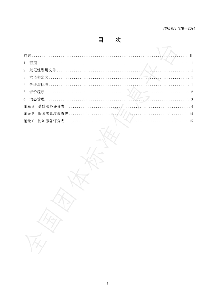 T/CASMES 378-2024 标准预览