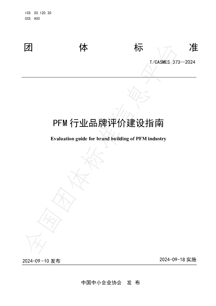T/CASMES 373-2024 标准预览