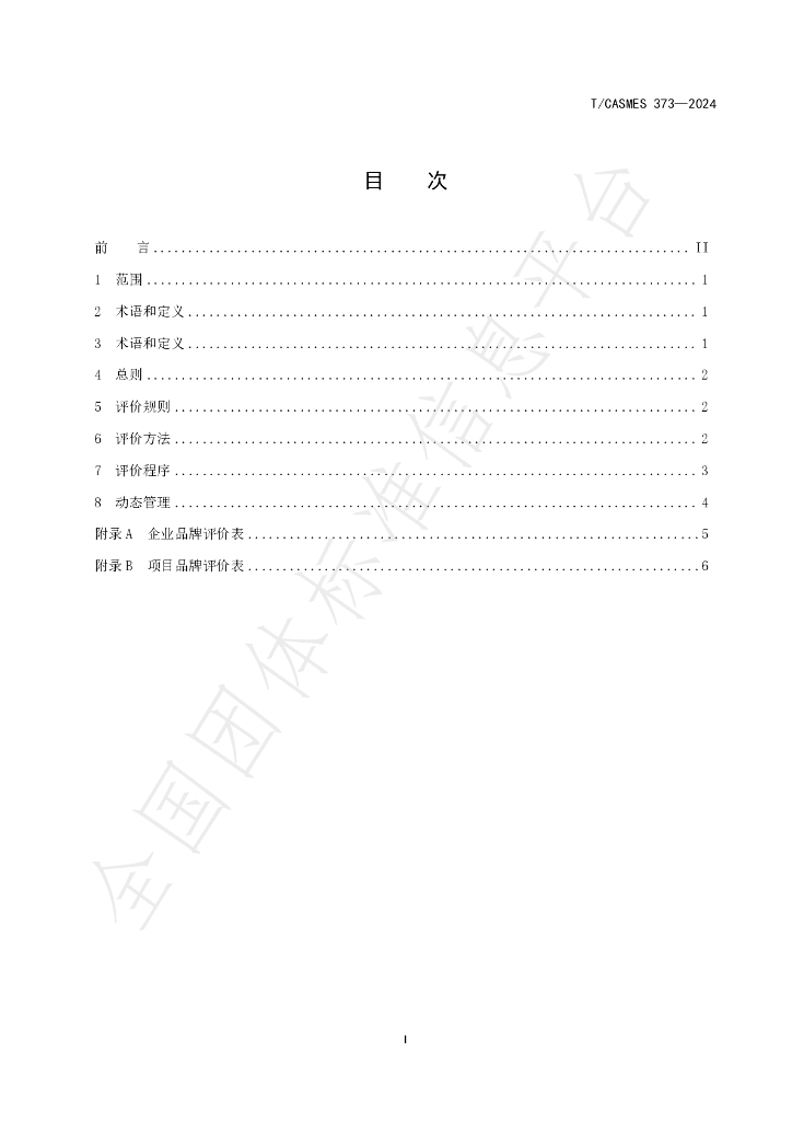 T/CASMES 373-2024 标准预览