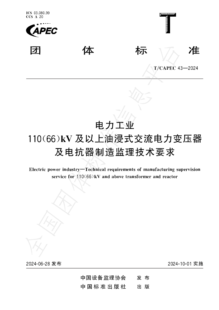 T/CAPEC 43-2024 标准预览