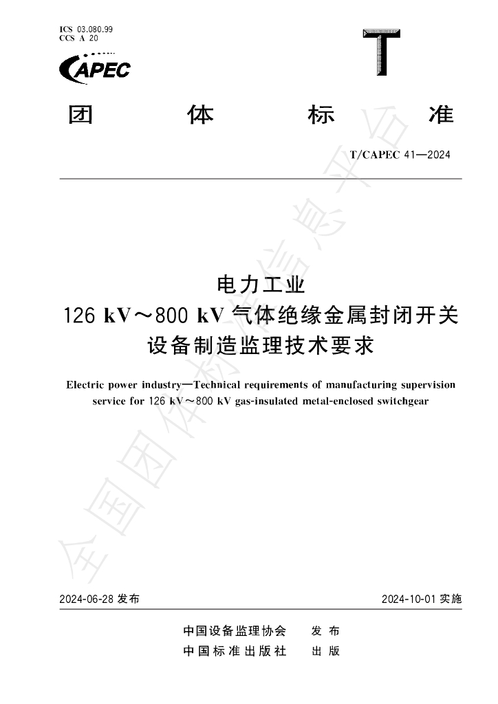 T/CAPEC 41-2024 标准预览