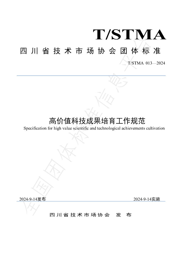 T/STMA 13-2024 标准预览