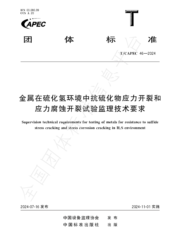 T/CAPEC 46-2024 标准预览