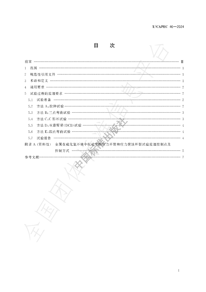 T/CAPEC 46-2024 标准预览