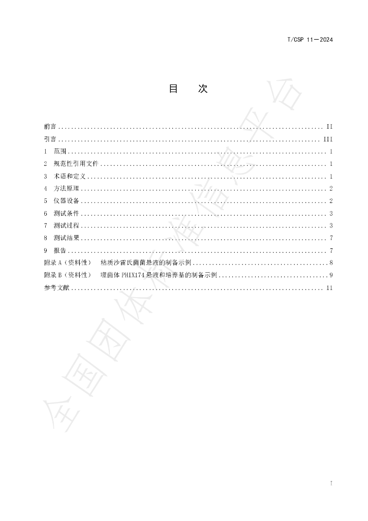 T/CSP 11-2024 标准预览