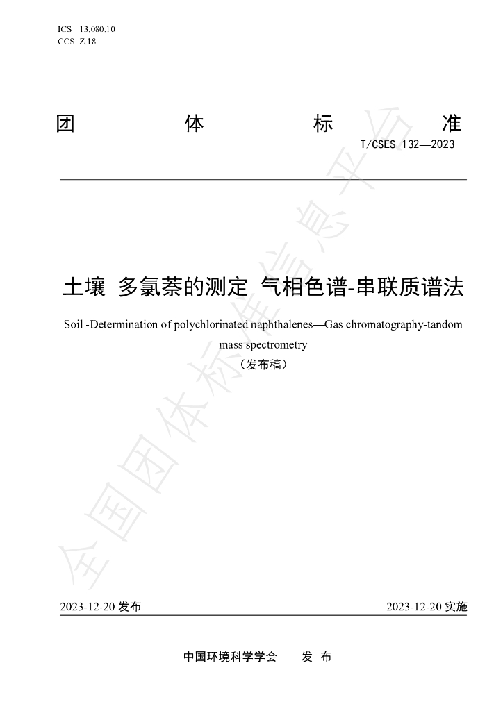 T/CSES 132-2023 标准预览