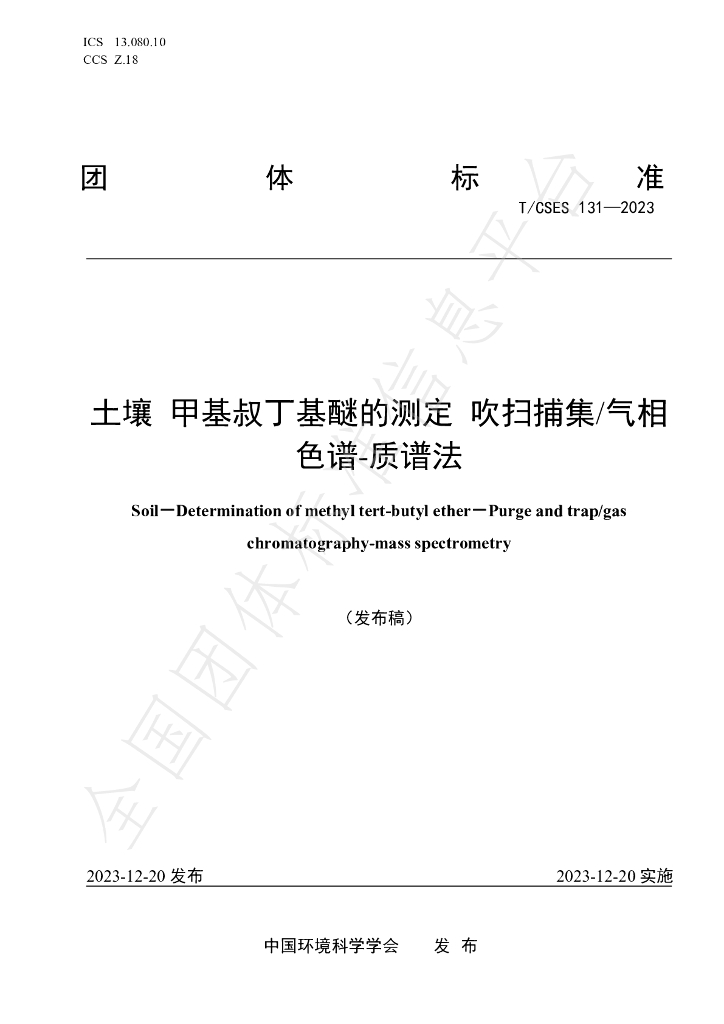 T/CSES 131-2023 标准预览
