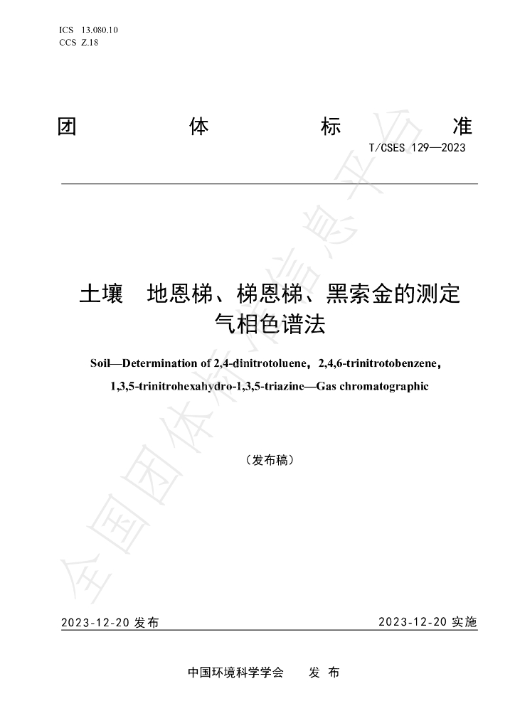 T/CSES 129-2023 标准预览