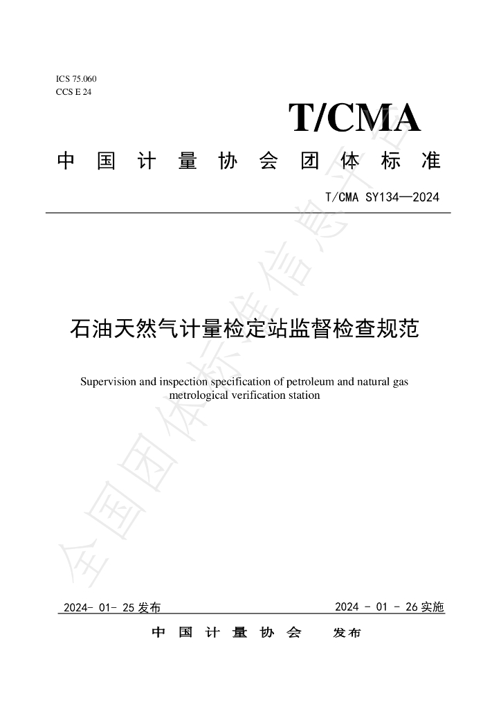 T/CMA SY134-2024 标准预览