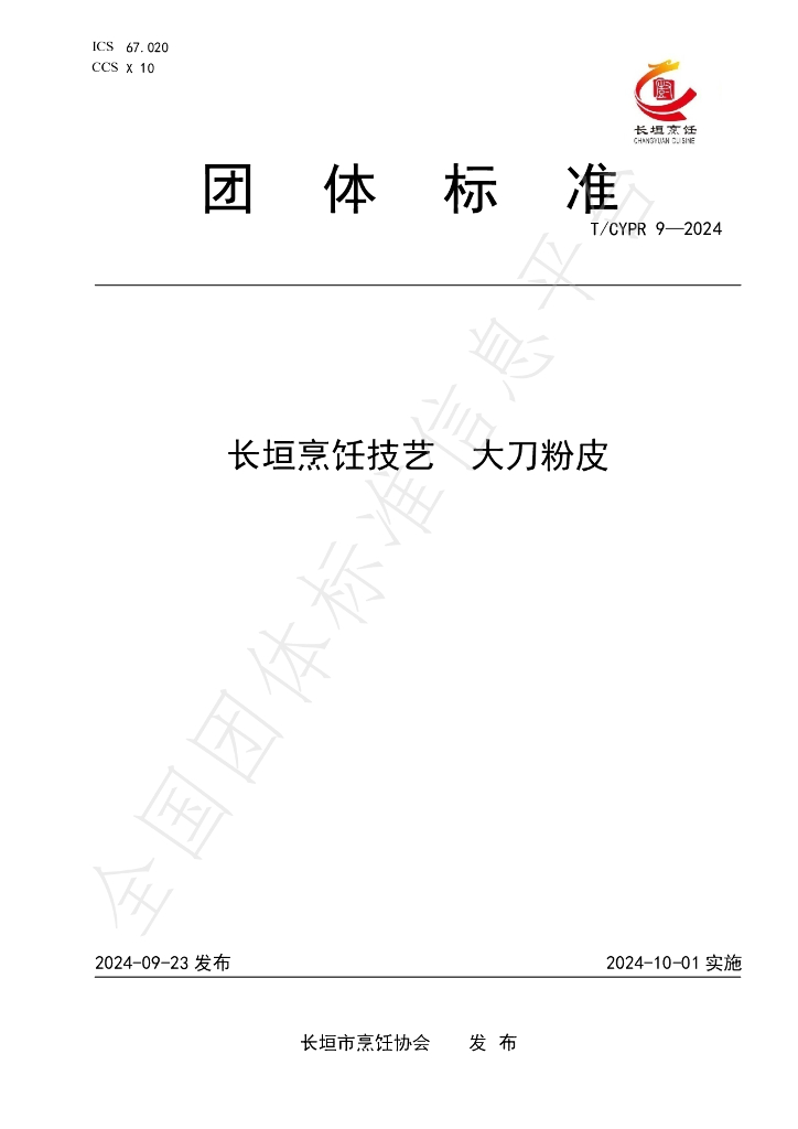 T/CYPR 9-2024 标准预览
