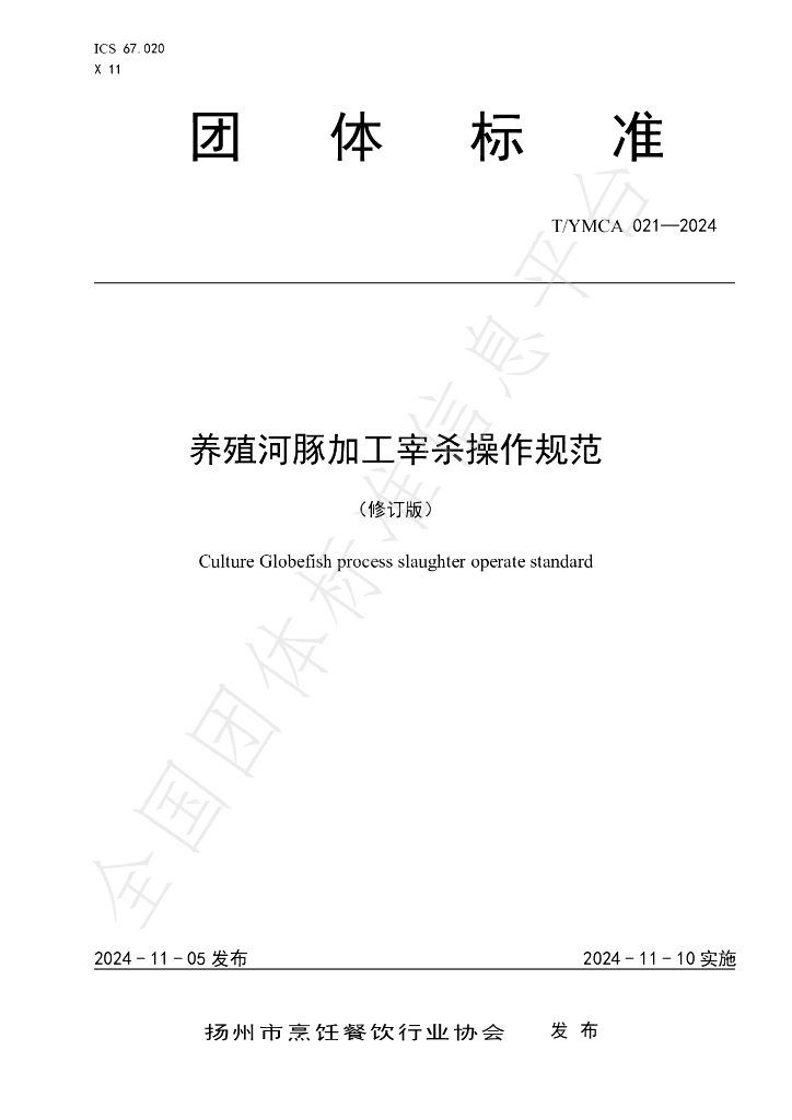 T/YMCA 21-2024 标准预览