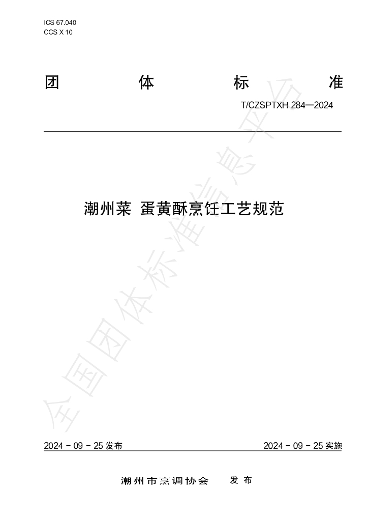T/CZSPTXH 284-2024 标准预览