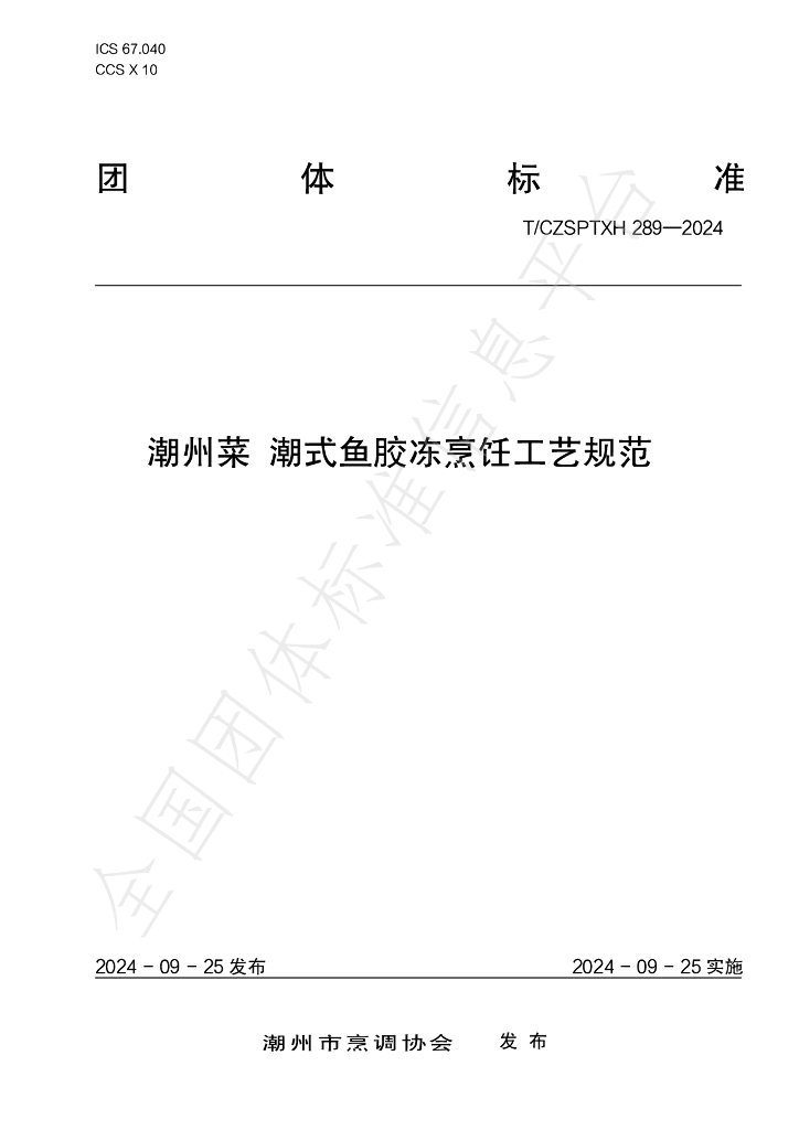 T/CZSPTXH 289-2024 标准预览