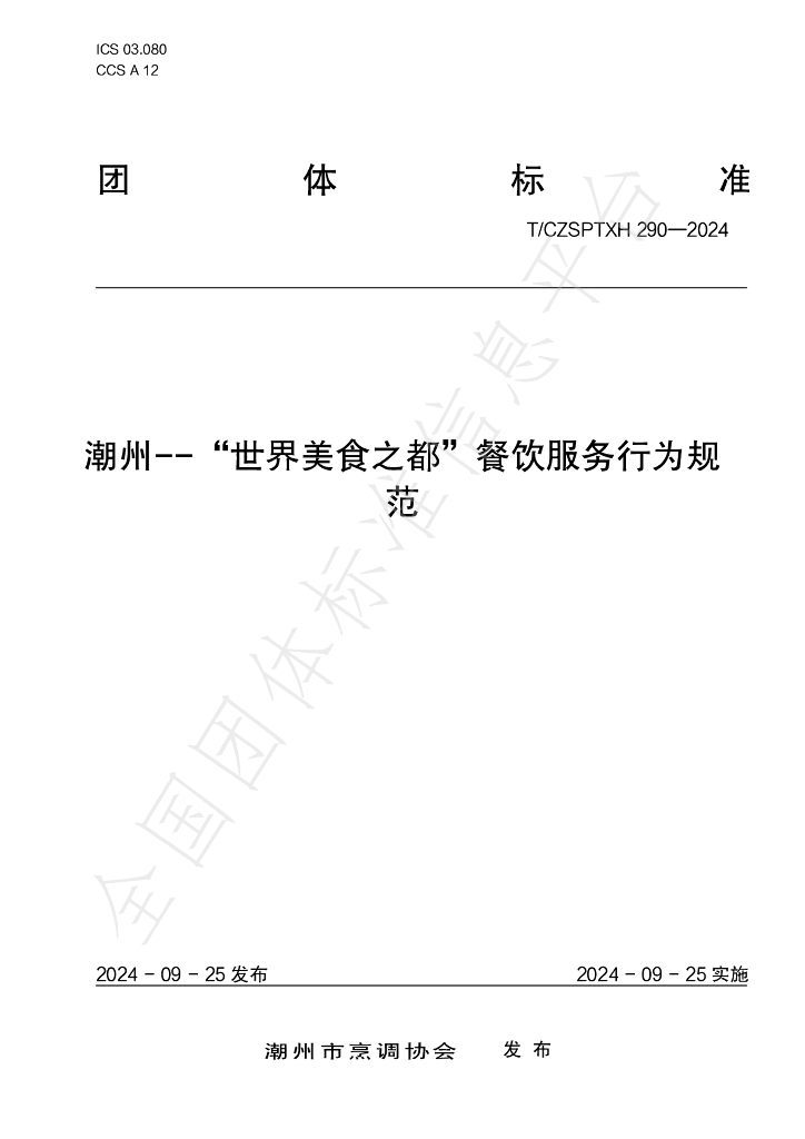 T/CZSPTXH 290-2024 标准预览