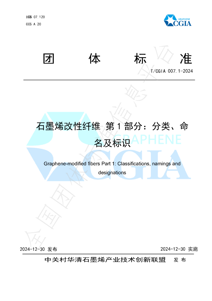 T/CGIA 007.1-2024 标准预览