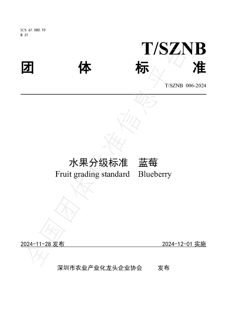T/SZNB 006-2024 标准预览