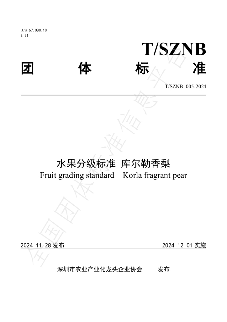 T/SZNB 005-2024 标准预览