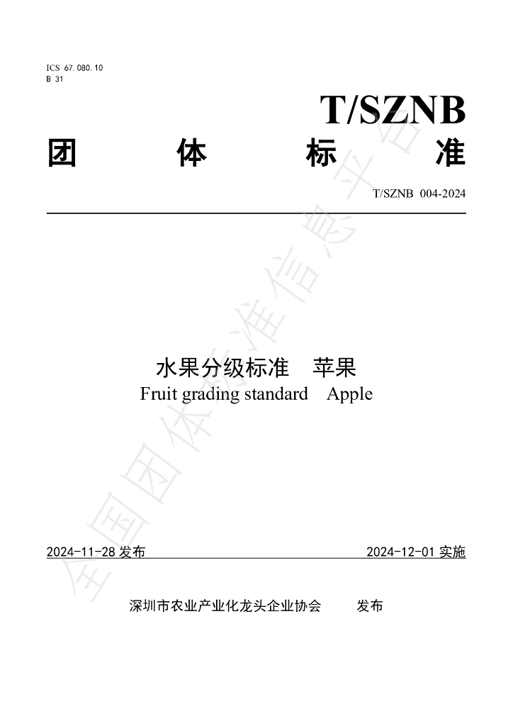 T/SZNB 004-2024 标准预览