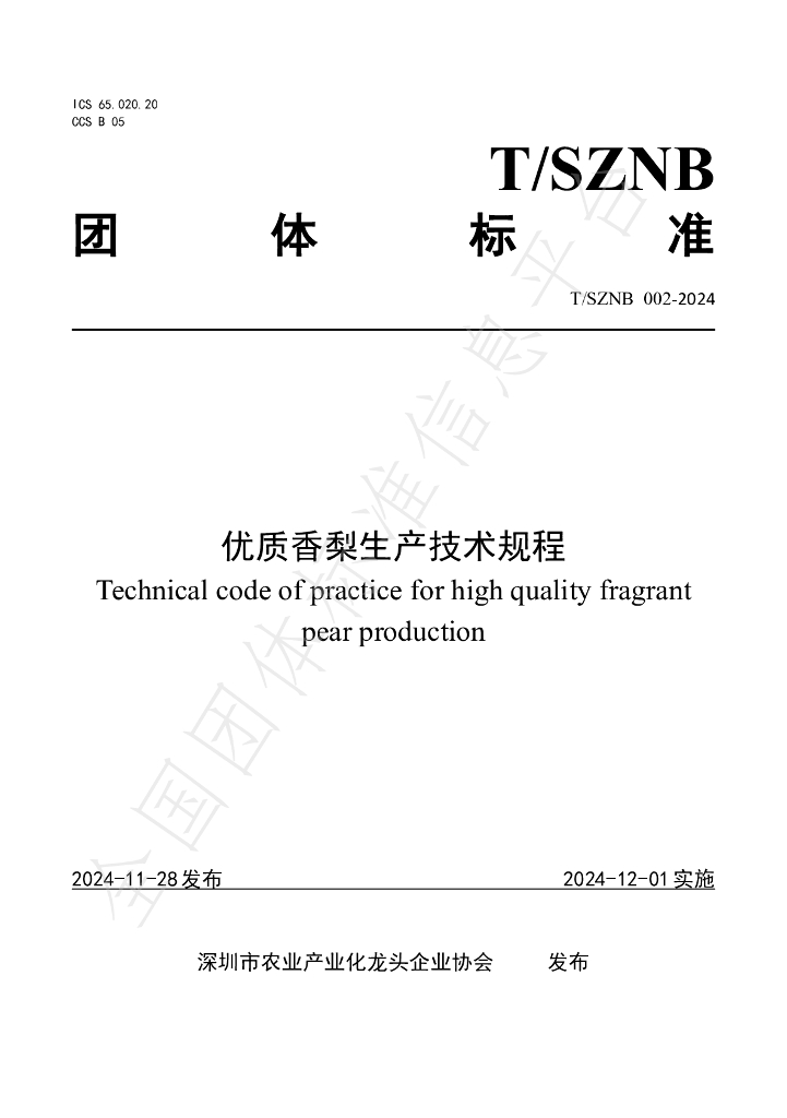 T/SZNB 002-2024 标准预览
