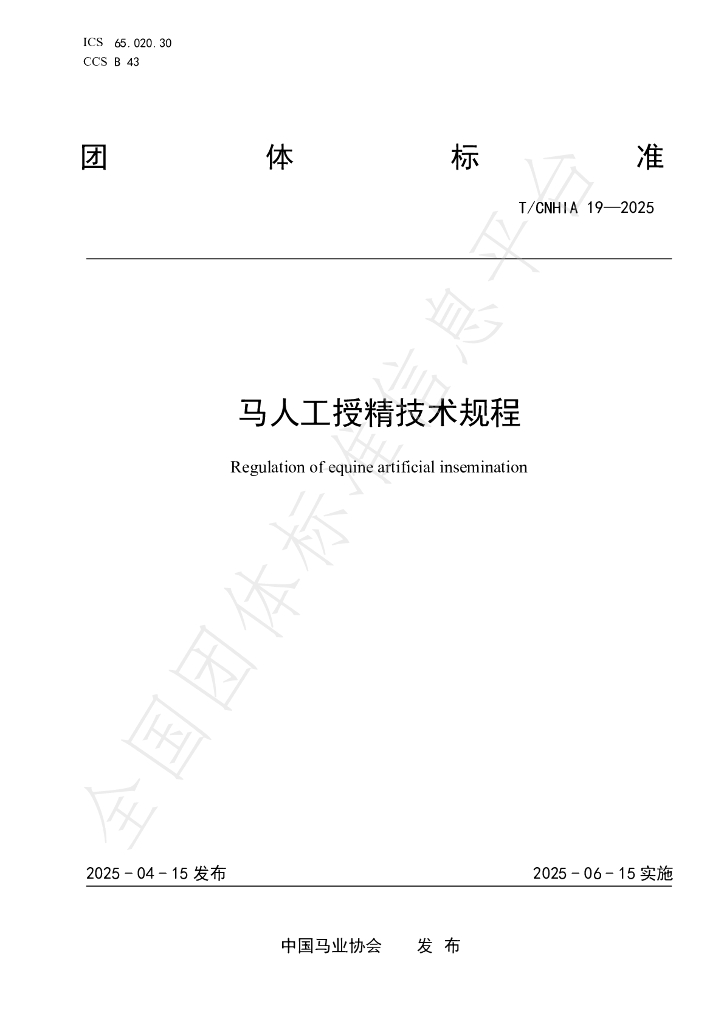 T/CNHIA 19-2025 标准预览