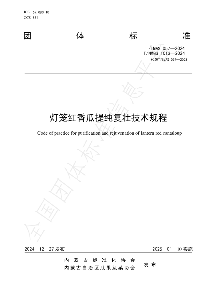 T/NMGS 1013-2024 标准预览