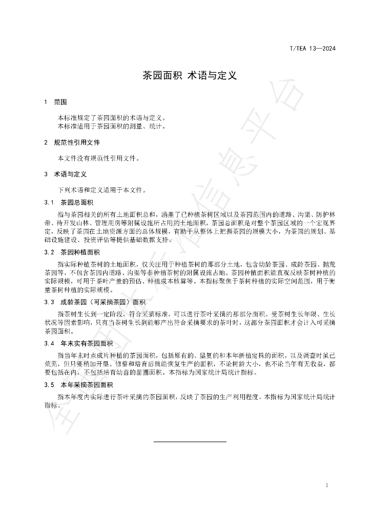 T/TEA 13-2024 标准预览