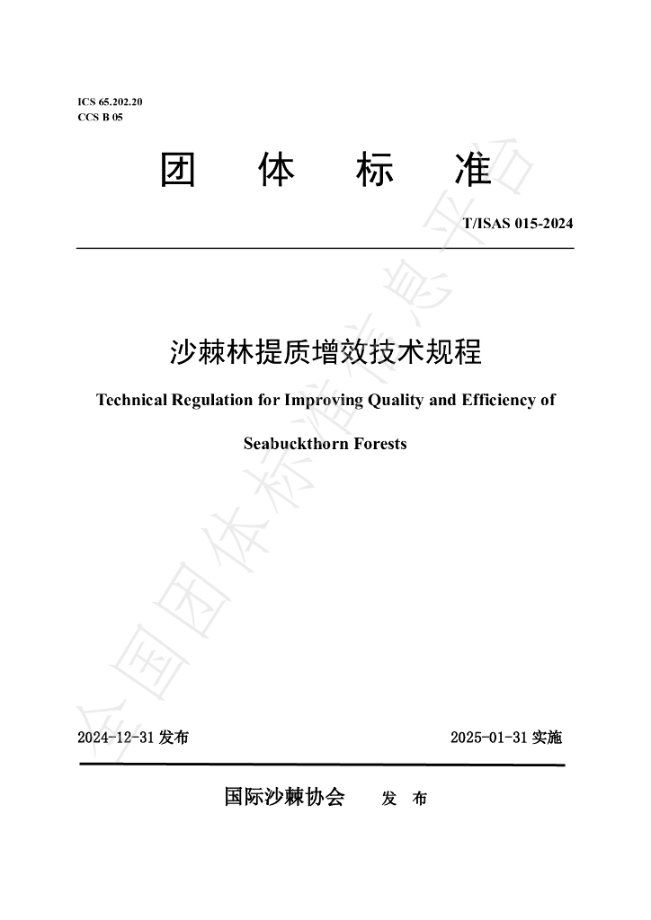 T/ISAS 015-2024 标准预览