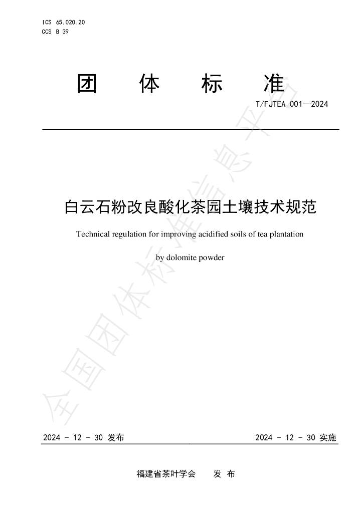 T/FJTEA 001-2024 标准预览
