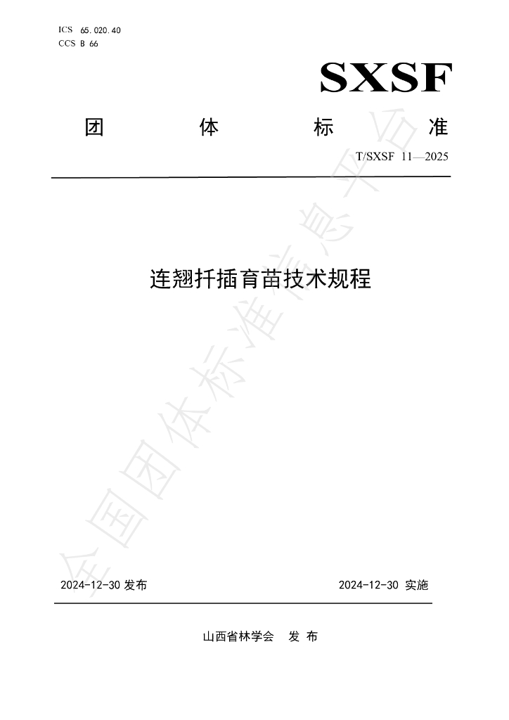 T/SXSF 11-2025 标准预览