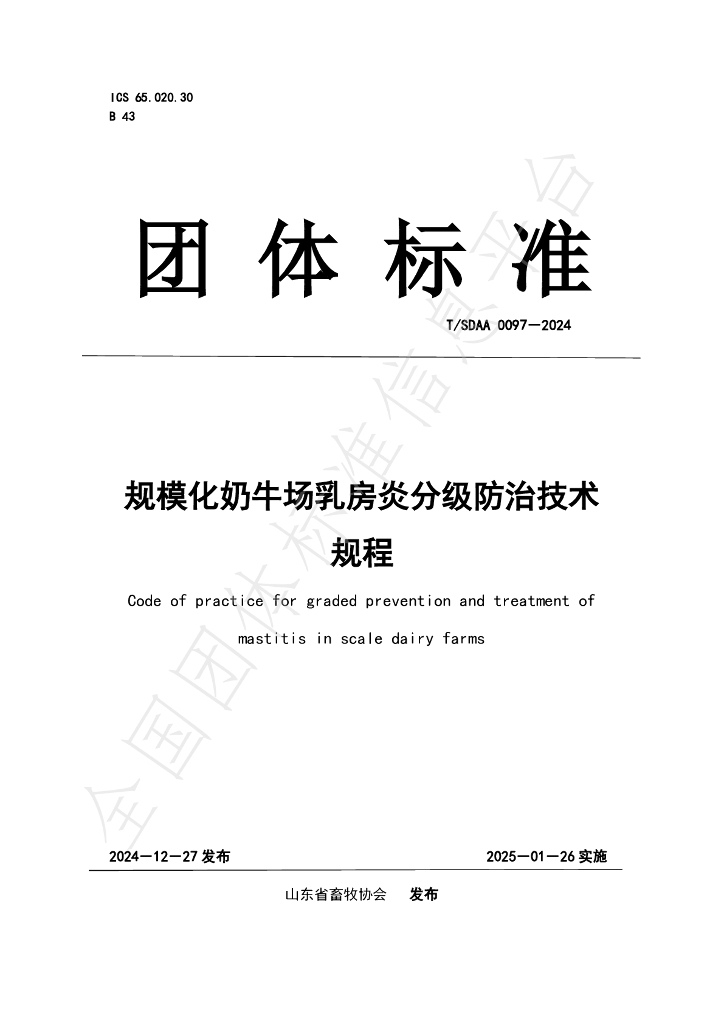T/SDAA 0097-2024 标准预览