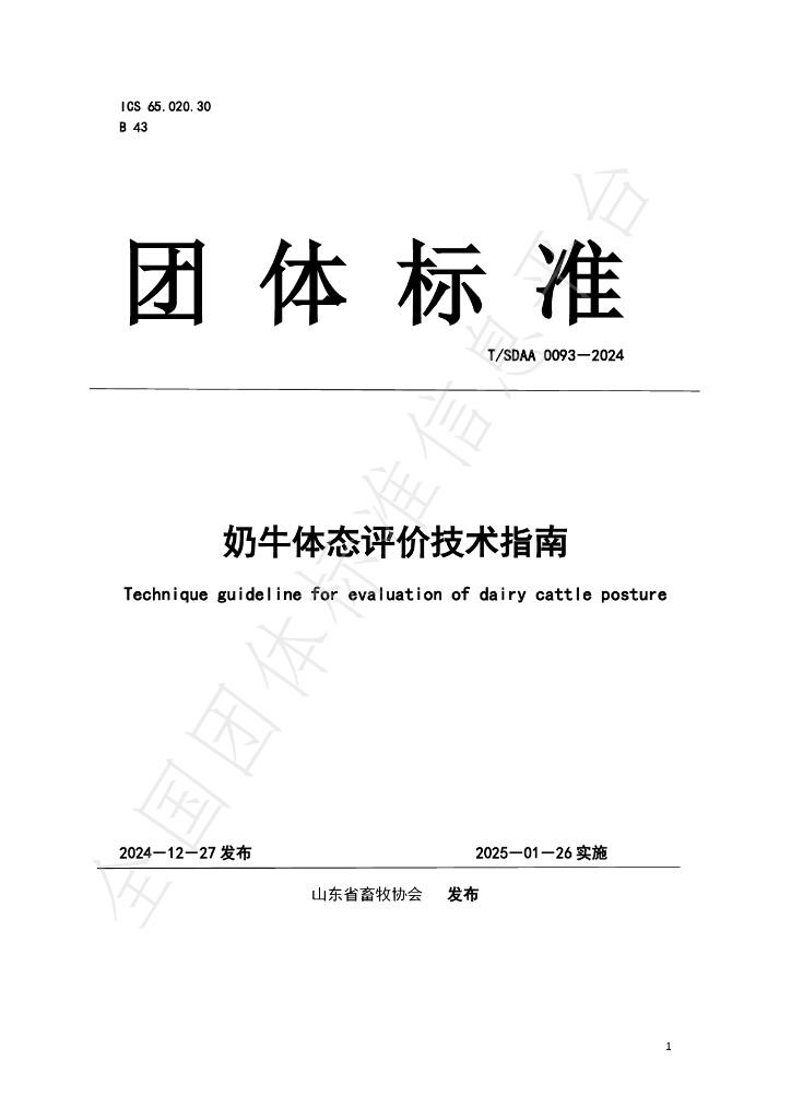 T/SDAA 0093-2024 标准预览