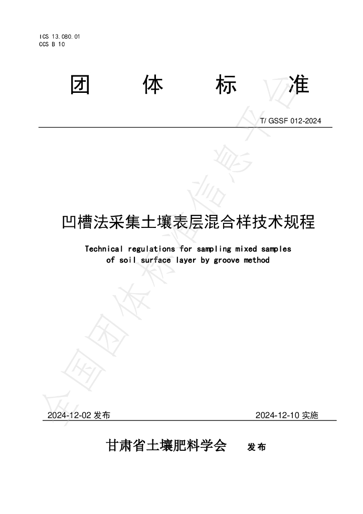 T/GSSF 012-2024 标准预览