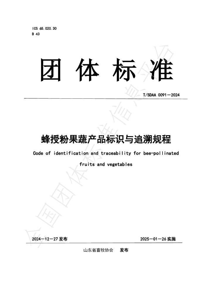T/SDAA 0091-2024 标准预览