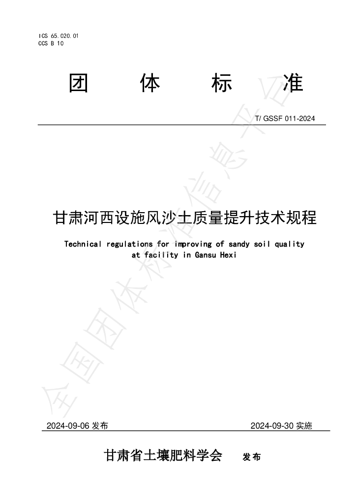 T/GSSF 011-2024 标准预览