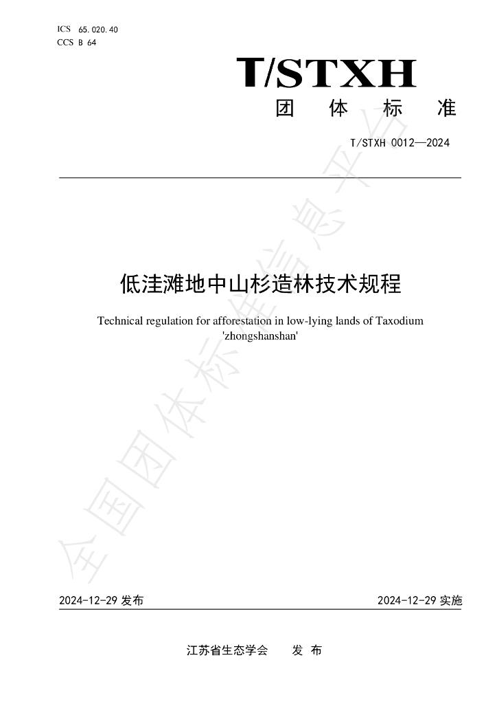 T/STXH 0012-2024 标准预览
