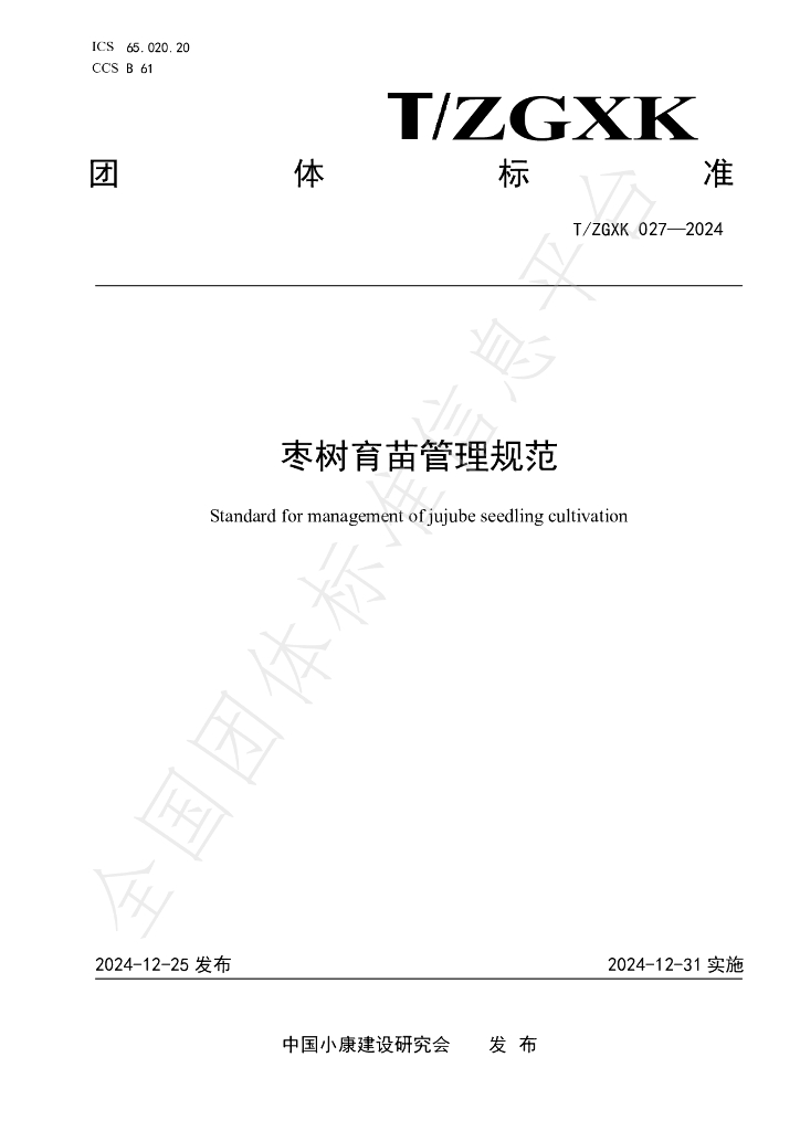 T/ZGXK 027-2024 标准预览